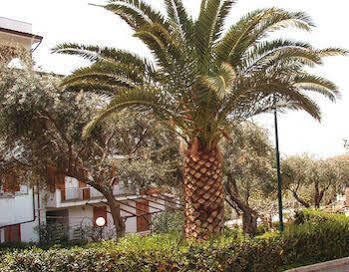Residence L'Uliveto Gioiosa Marea Luaran gambar
